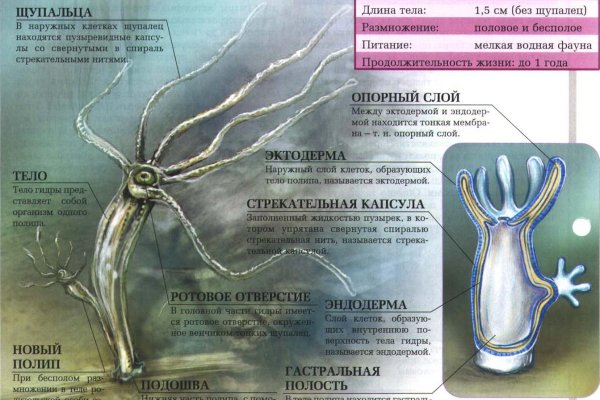 Гидра даркнет рынок