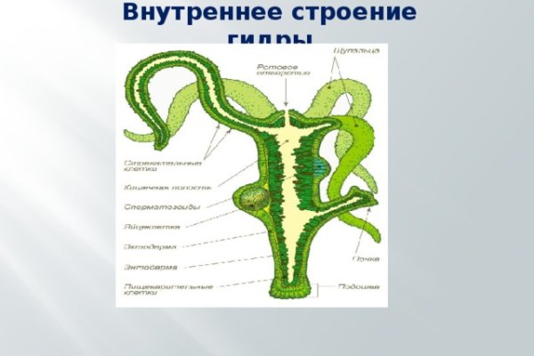 Дарк нет кракен