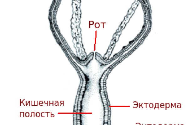 Кракен сайт ссылка онлайн