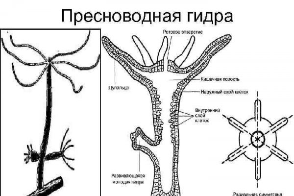 Кракен как войти